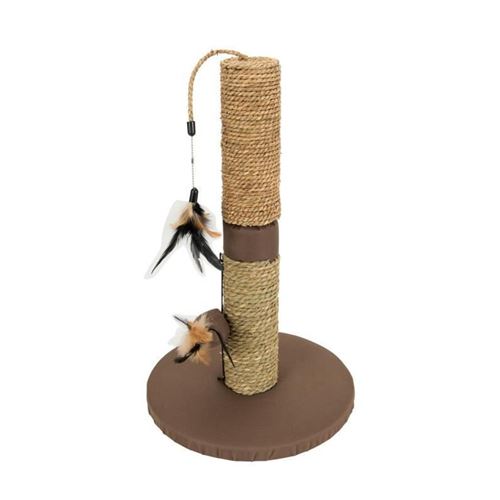 Meilleurs prix pour AIME Poteau griffoir simple - Pour chat