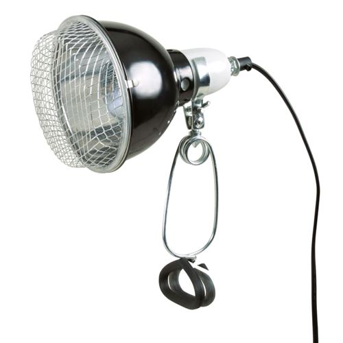 Lampe R&eacute;flecteur Pro Diam&egrave;tre 14 Cm 100 W Maxi Avec Grille