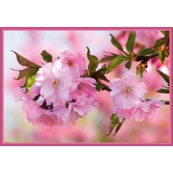 Poster Encadré Fleurs Cerisier En Fleur 61x91 Cm Cadre Plastique Pink
