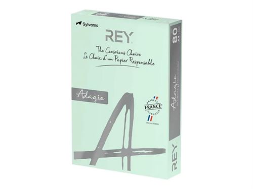 Rey Adagio - Lisse - 104 micromètres - vert vif - A4 (210 x 297 mm) - 80 g/m² - 500 feuille(s) ramette - papier pour reprographie (pack de 5)