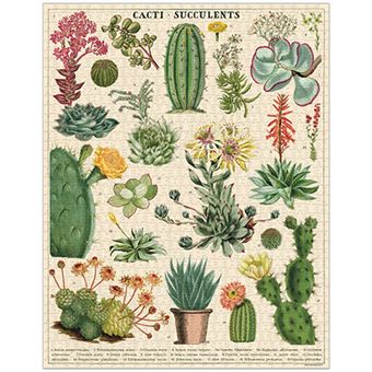 Puzzle LetterBox Cavallini Succulentes 1000 pièces 50 x 70 cm