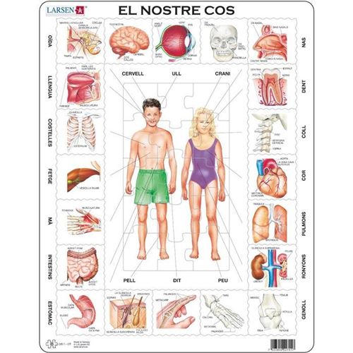 Puzzle Éducatif Apprendre Le Corps Humain En Catalan 35 Pièces Larsen