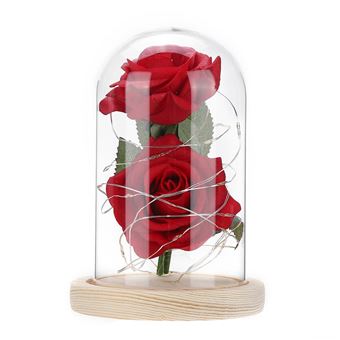 Lampe De Decoration A Led Fil De Cuivre Rose Artificiel Verre Dome Cadeau D Anniversaire Rouge Veilleuses Achat Prix Fnac