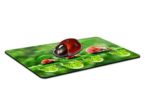 Ensemble de Tapis de Souris famille Coccinelle et Souris Coccinelle sans fil