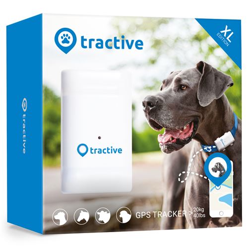 Traceur GPS pour chien de grande taille Tractive - collier gps pour chien