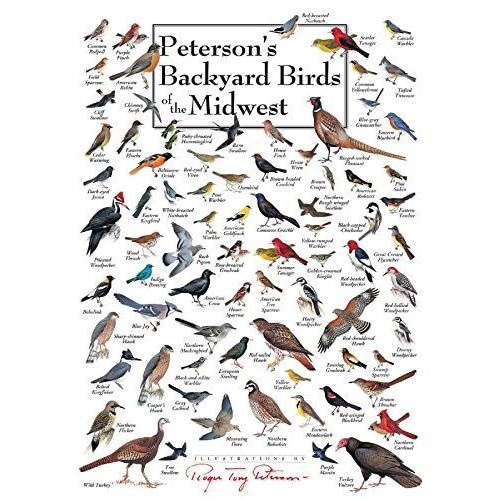 Heritage Puzzle Petersons Backyard Birds Of The Midwest Jigsaw Puzzle (550-piece)