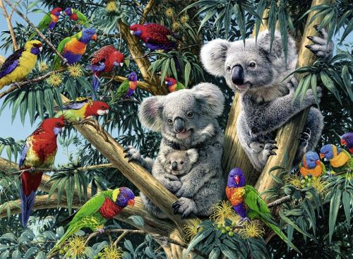 RAVENSBURGER Puzzle famille de koalas et perroquets dans l arbre 500 pieces -  - puzzle animaux de la foret 