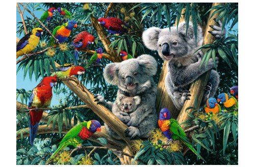 RAVENSBURGER Puzzle famille de koalas et perroquets dans l arbre 500 pieces -  - puzzle animaux de la foret 