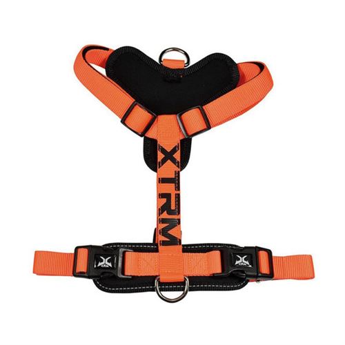 Meilleurs prix pour Harnais pour Animau Domestiques Nayeco trm 3560 1 5 cm Orange