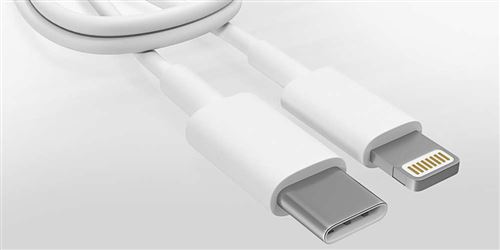 15% sur CABLING® Câble USB-C vers Lightning Charge et Synchronisation 50cm  - Blanc - Câbles USB - Achat & prix