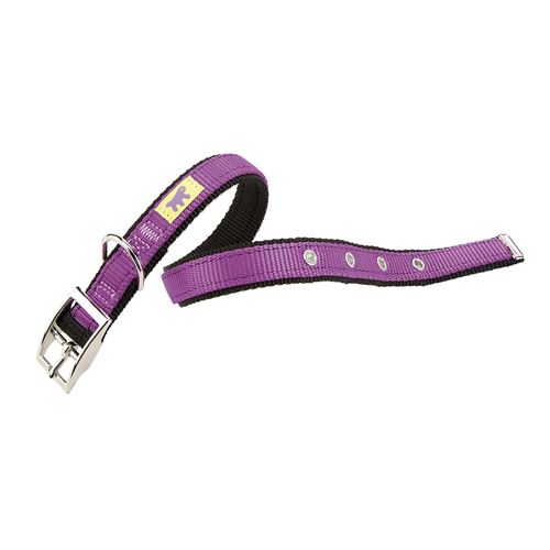 Comparer les prix de DUAL CF25/45 COLOURS Collier chien A: 37÷45 cm - B: 25 mm Violet