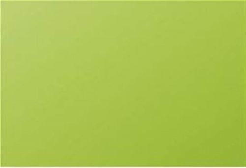 Carte Simple 210g 82x128 vert menthe pqt 25