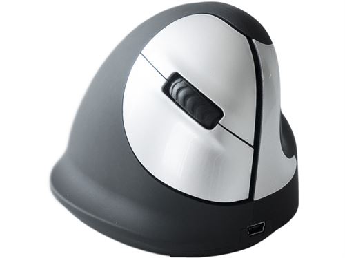 Human Ergonomics HE Mouse - souris - 2.4 GHz - Noir/argent