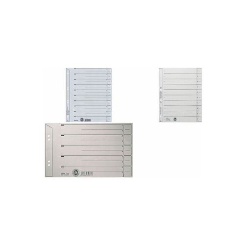 LEITZ Intercalaires, format A4 extra large, en carton solide