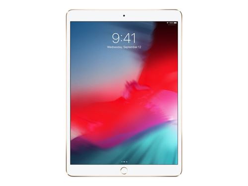 Apple 10.5-inch iPad Pro Wi-Fi - 1ère génération - tablette - 512 Go - 10.5 IPS (2224 x 1668) - or
