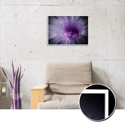 Image encadrée baguette minimaliste Fleur lilas - MDF - 51x71 cm - Violet lilas et rose - Moulure blanc mat 19x19 cm