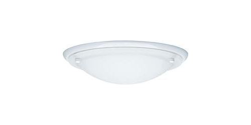 Plafonnier de salle de bain Paulmann Arctus E27 60 W blanc, opale