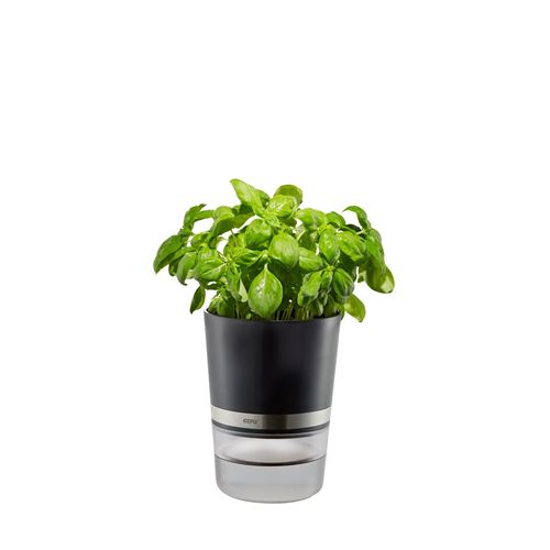Pot d'herbes aromatiques BOTANICO Gefu ABS Argent