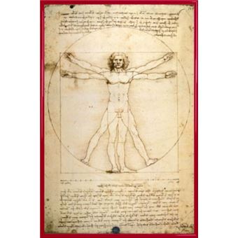 Vinyles Leonardo Da Vinci Homme De Vitruve Le Batteur