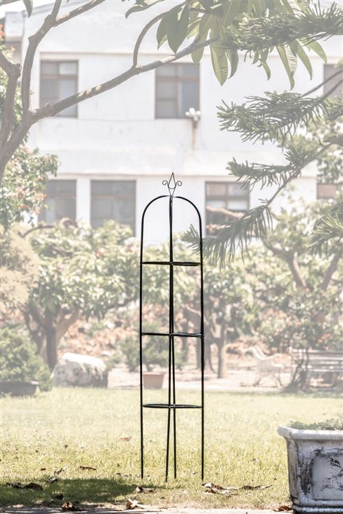 Support arceau pour plante - Suan - Accompagnement à la pousse - Dimensions : 39 x 190 cm