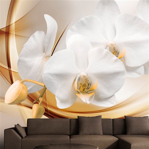 Papier peint Orchid blossom-Taille L 100 x H 70 cm