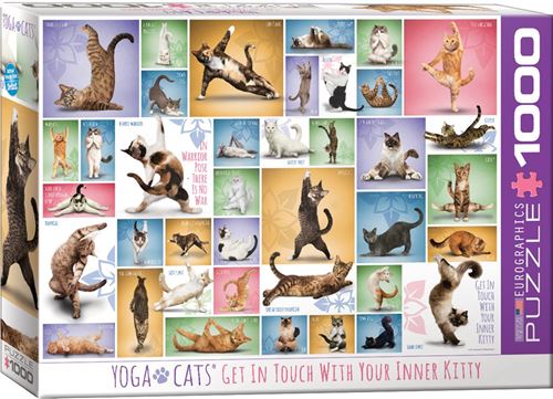 Eurographics Yoga Cats (1000)