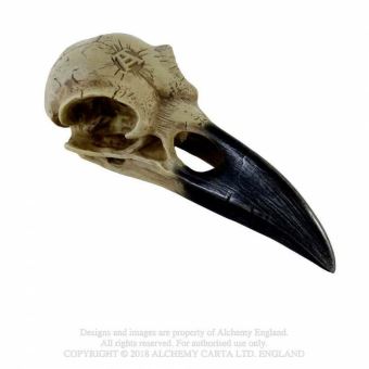 Corvus Alchemica Crâne Corbeau - 1