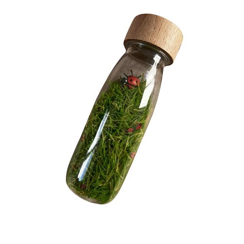 Petit Boum Sensorische Fles Bottle Ladybirds