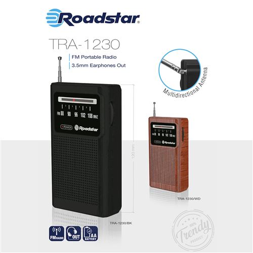 Roadstar - Radio FM Portable Analogique, sur Secteur / à Piles