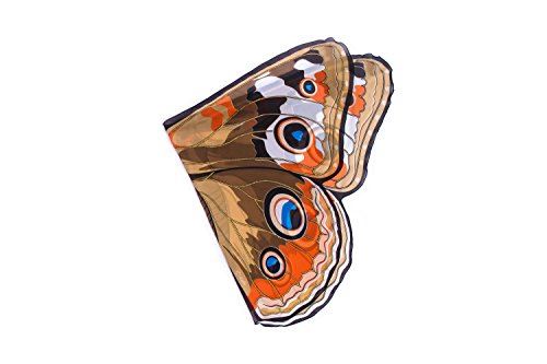 Ailes de papillon Douglas Buckeye