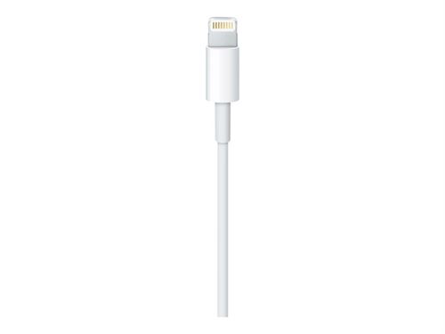Apple - Câble Lightning - Lightning mâle pour USB mâle - 1 m