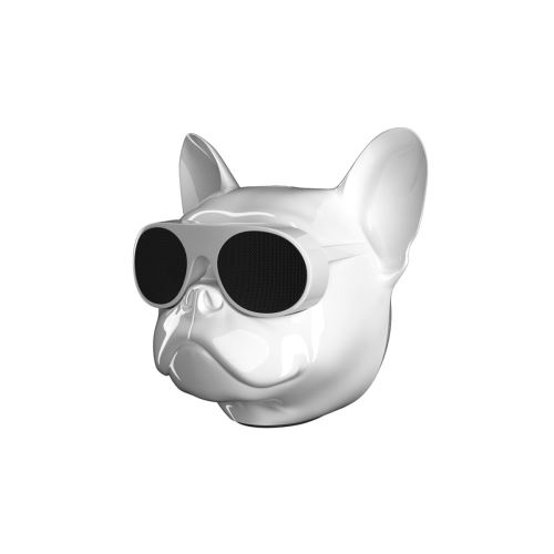 Mini Enceinte Connectee AeroBull Nano