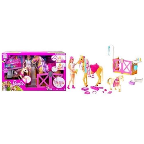 Poupée Mannequin - HGB58 - Coffret Toilettage des Chevaux Barbie avec 1 poupée