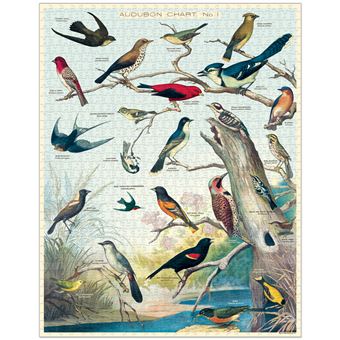 Puzzle LetterBox Cavallini Oiseaux 1000 pièces 50 x 70 cm