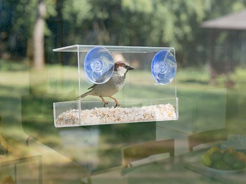 Mangeoire oiseaux transparente pour fenêtre avec ventouses