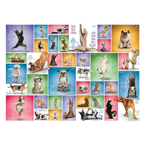 Puzzle Eurographics - Chiens de Yoga, 1000 pièces
