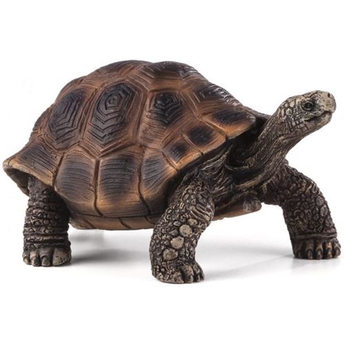 Figurine de tortue, Animal Planet, 8 cm x 5 cm x 3,5 cm