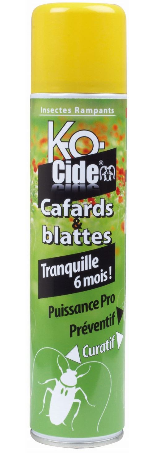 Insecticide Laque anti-cafards et blattes KOCIDE 405 ml - KC