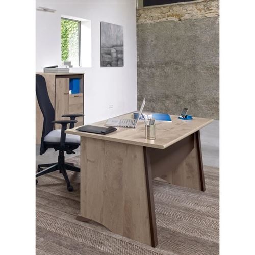 GAMI Ensemble Bureau L 160 + Rangement 1 porte 2 tiroirs - Decor bois - SALSA