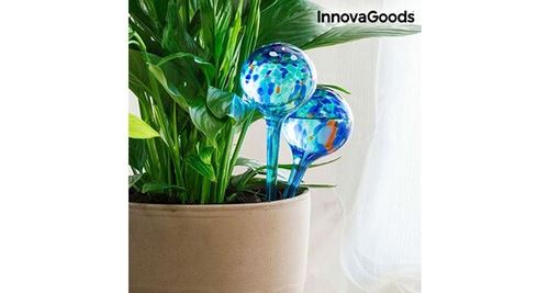 2 globes d’arrosage pour plantes en verre - réservoir d’eau arroseur pour plantes, goutte à goutte, intérieur extérieur
