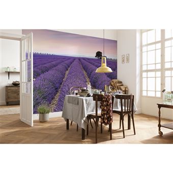 KOMAR Photo murale - 400 x 260 cm - panoramique intissé - Provence - 1