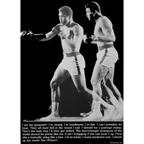 Muhallad ALI - 61x91,5 cm - AFFICHE / POSTER  - N/A reconditionné disponible sur Fnac