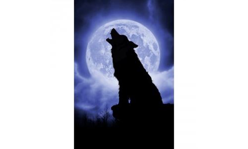 NUIT DE PLEINE LUNE, 500 PCS