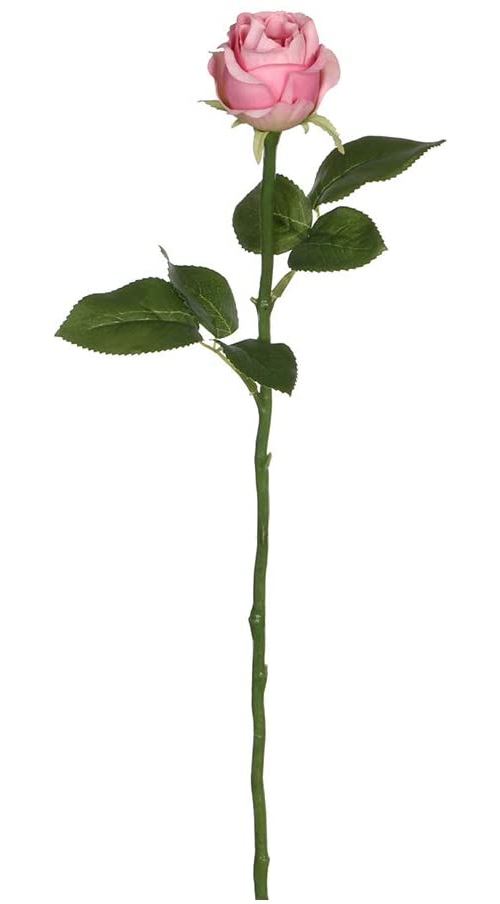 Rose 45 cm