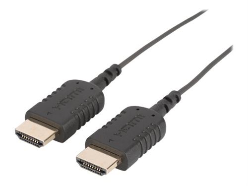 Ednet Premium - Câble HDMI avec Ethernet - HDMI mâle pour HDMI mâle - 2 m - double blindage - noir - moulé, support 4K