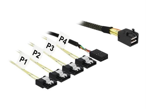 Delock - Câble SATA / SAS - SAS 12Gbit/s - Mini SAS HD (SFF-8643) pour 4 x SATA - 1 m