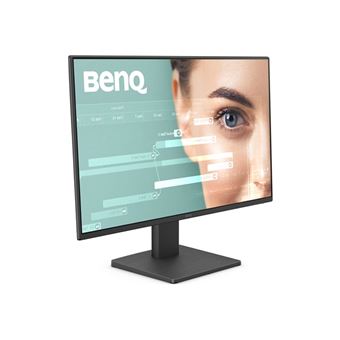 BenQ GW2491 - Écran LED - 24" (23.8" visualisable) - 1920 x 1080 Full HD (1080p) @ 100 Hz - IPS - 250 cd/m² - 1300:1 - 5 ms - HDMI, DisplayPort