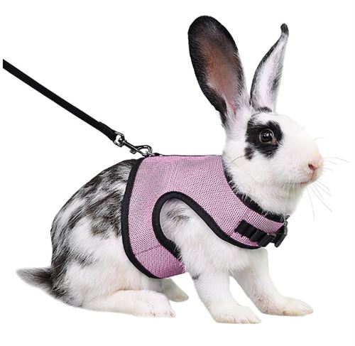 Meilleurs prix pour Harnais Lapins Cochons Petits Animaux Réglable Maille FONGWAN avec Laisse Élastique Gilet Souple, S - Rose