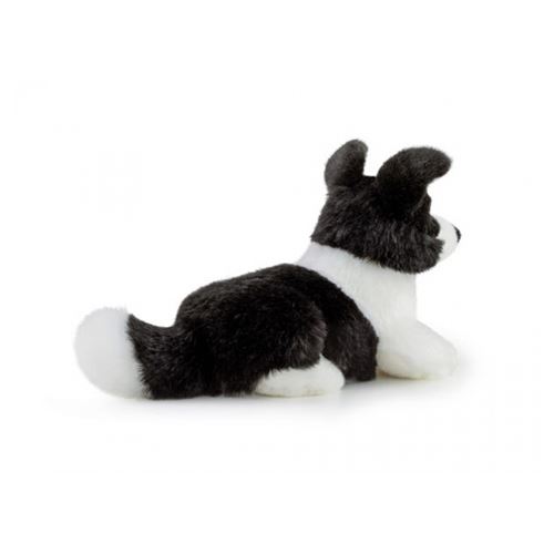 Peluche chien border collie online