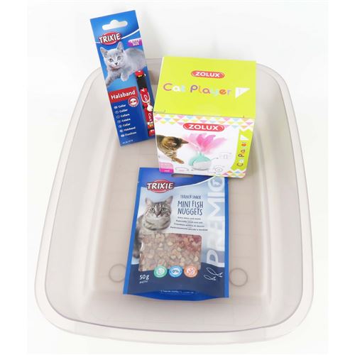 pack accessoires pour chaton